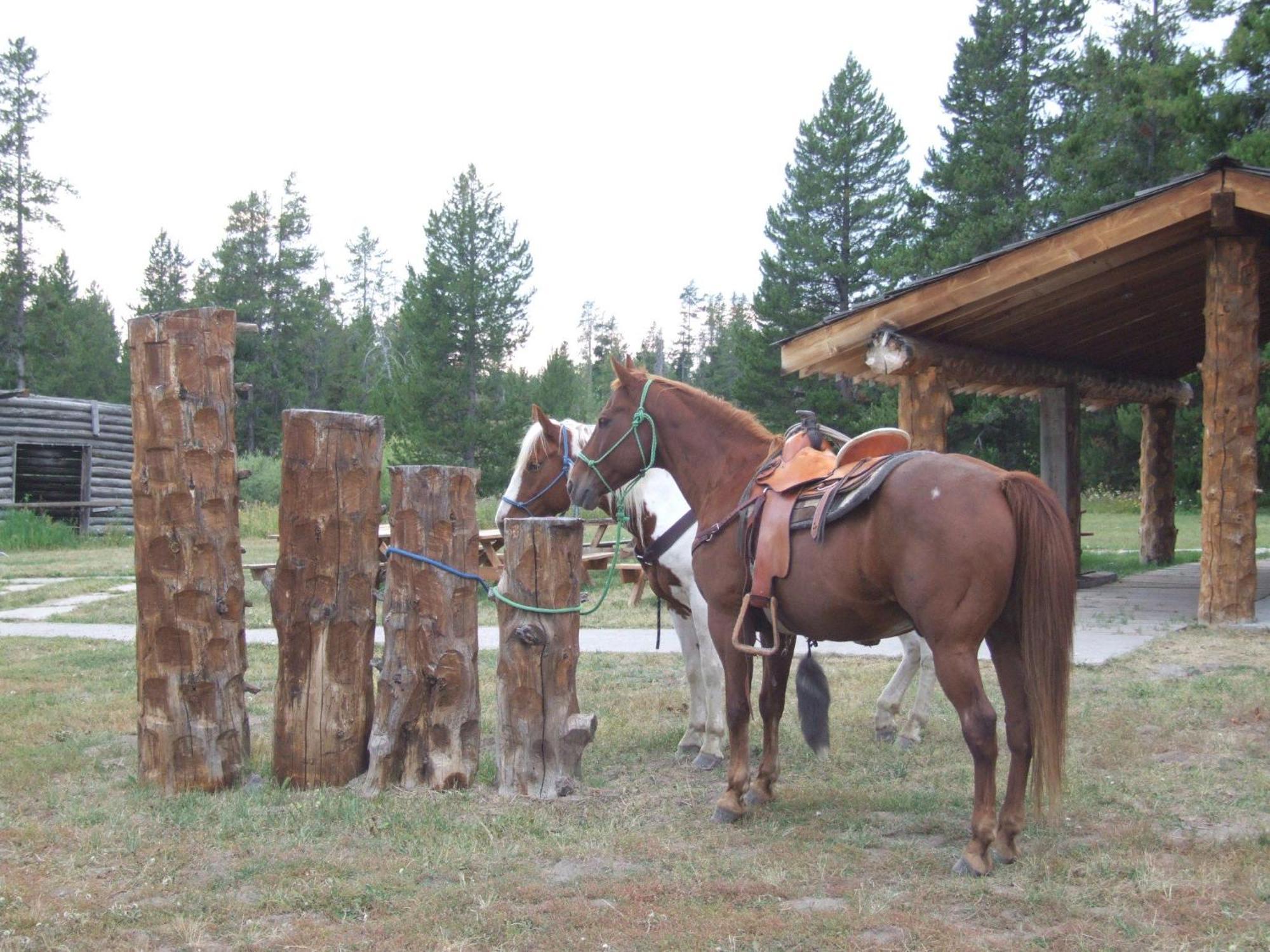 Willa Eagle Ridge Ranch Island Park Zewnętrze zdjęcie