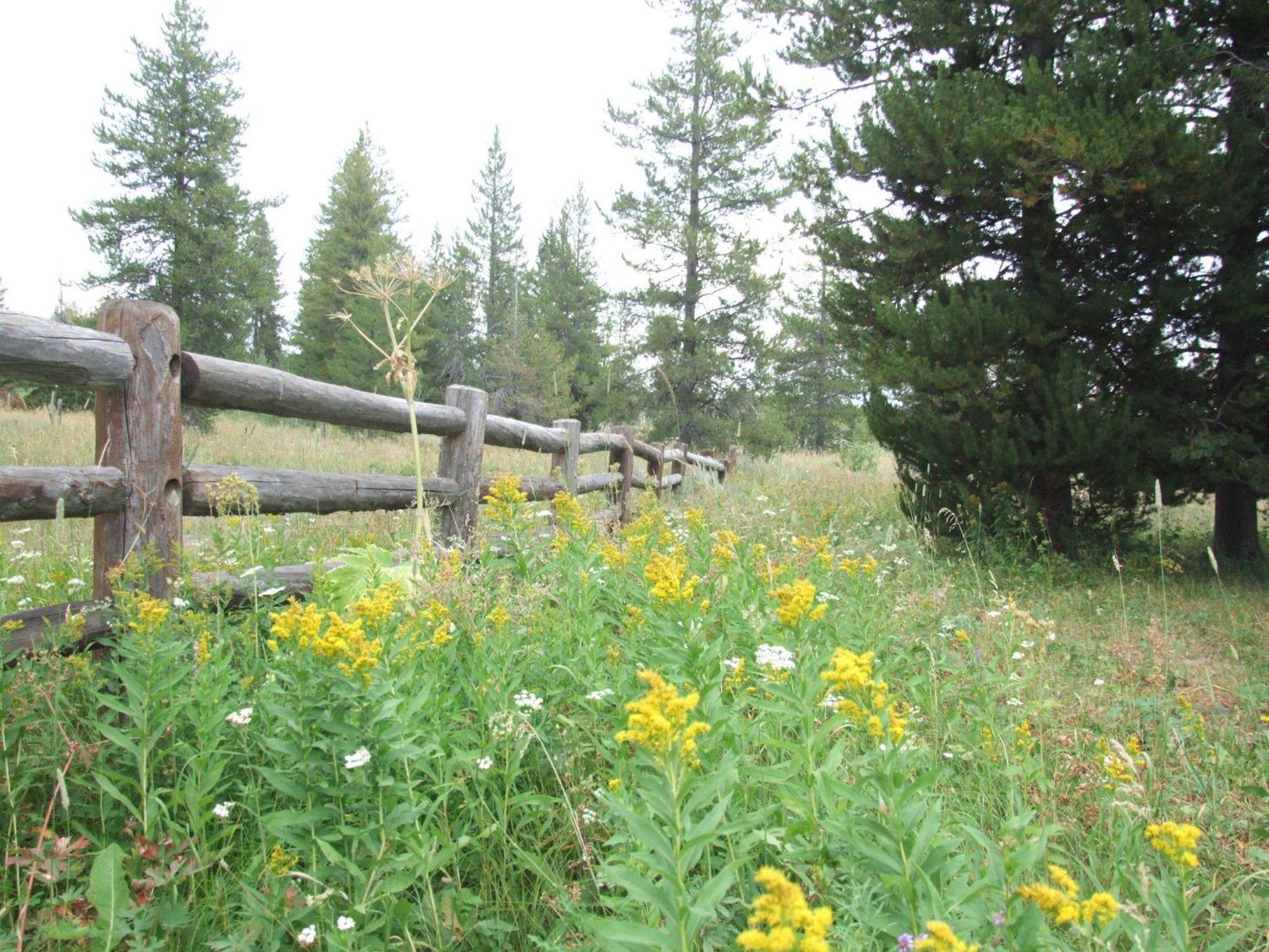 Willa Eagle Ridge Ranch Island Park Zewnętrze zdjęcie